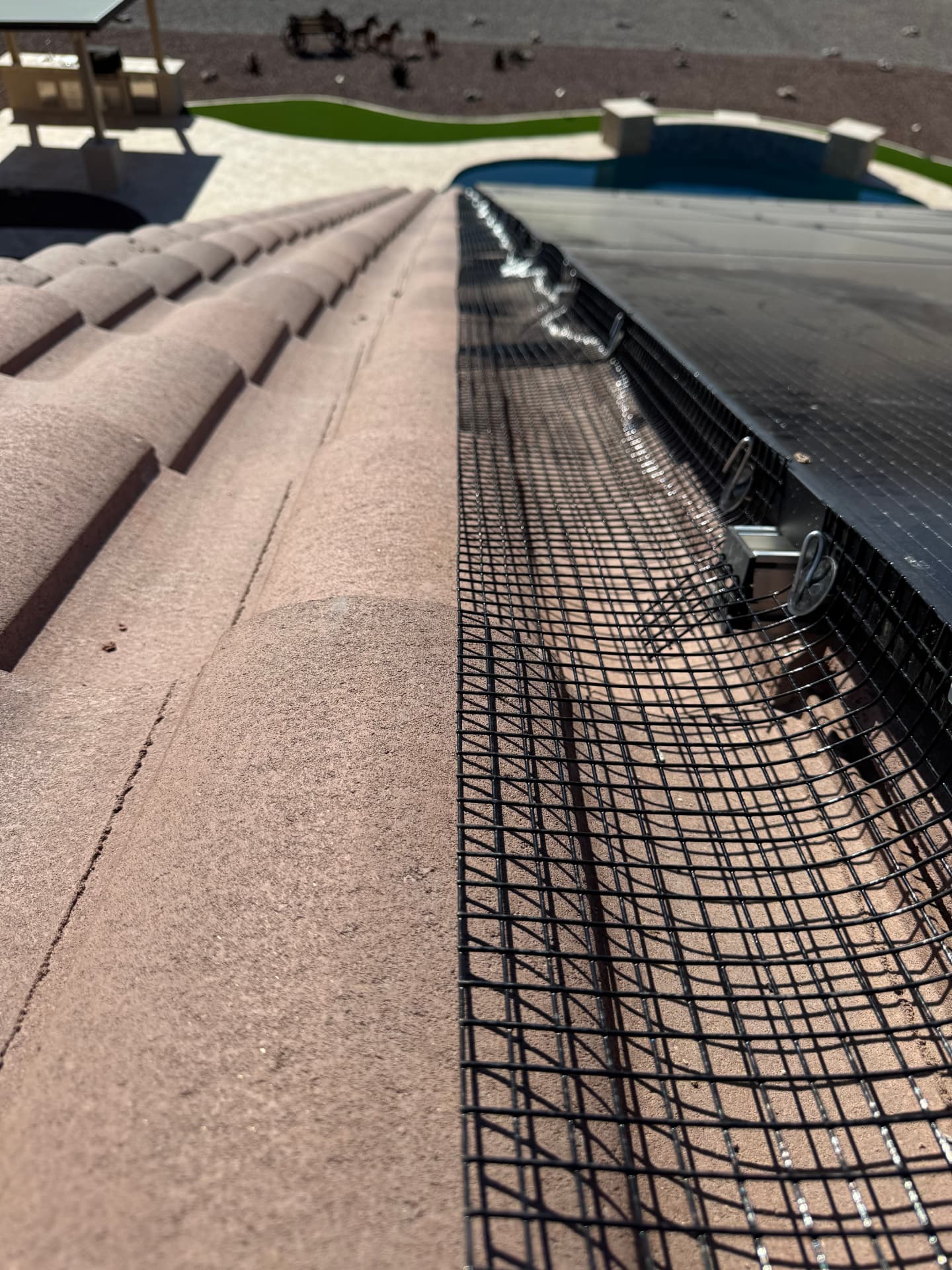 Finished pigeon barrier along a solar array above a backyard pool