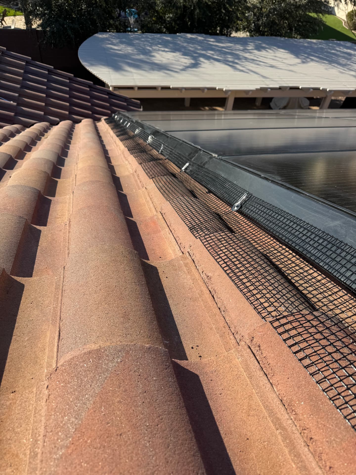 Mesh running along the edge of a solar array on a clay tile roof