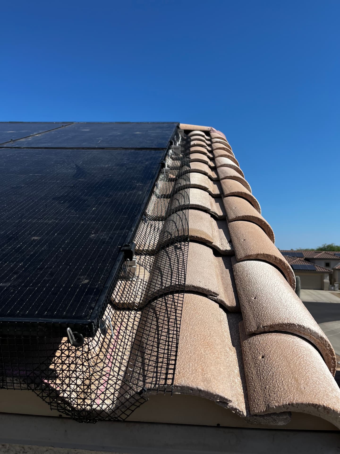 Pigeon mesh fitted to curved tiles beneath a solar panel