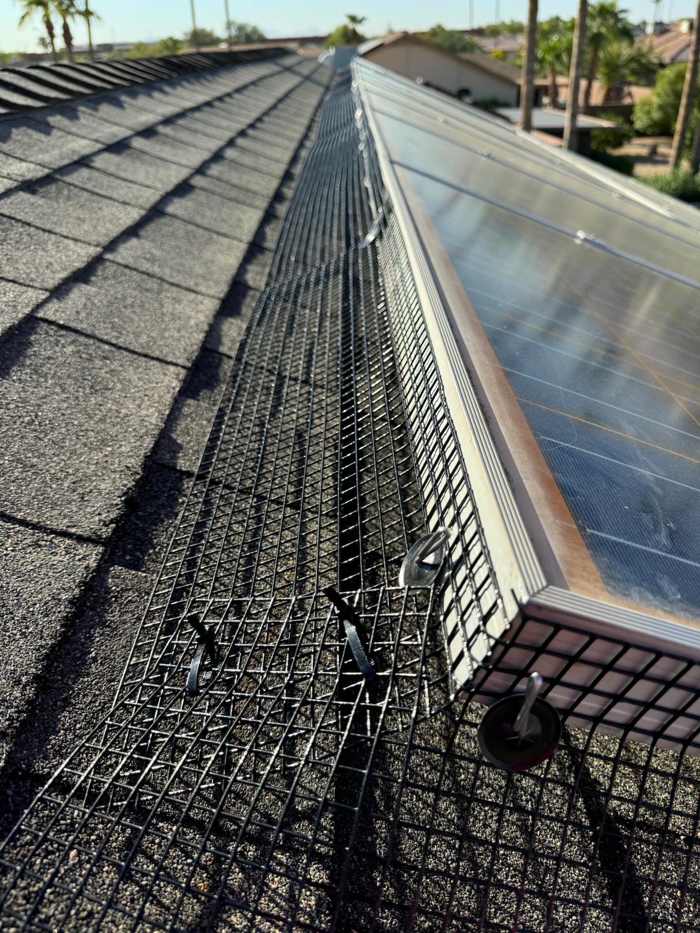 Pigeon mesh clipped around solar panels on a shingle roof