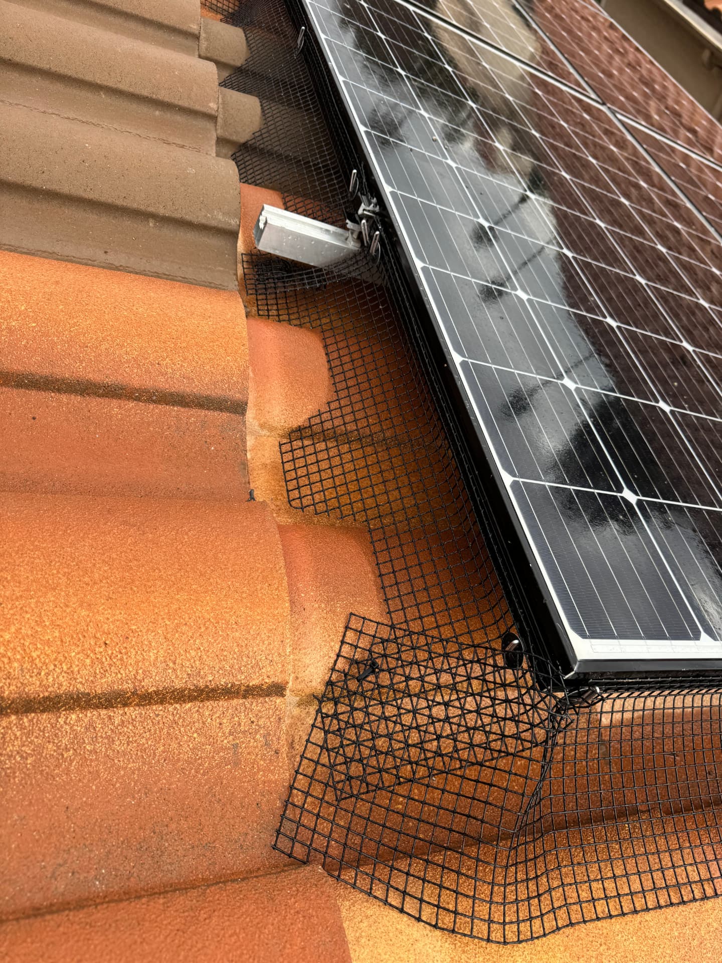 Close-up of pigeon mesh tucked into curved roof tiles under a panel