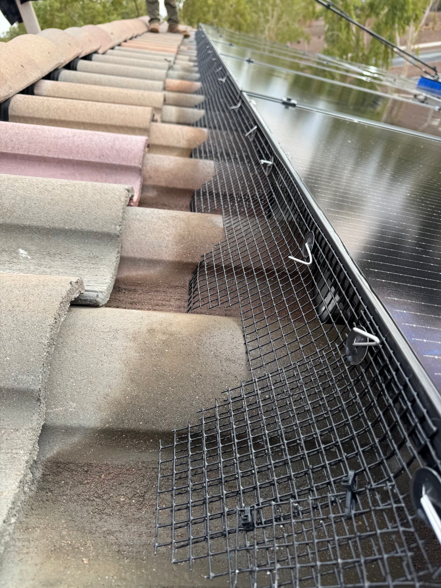 Pigeon mesh secured along a solar array on a tile roof
