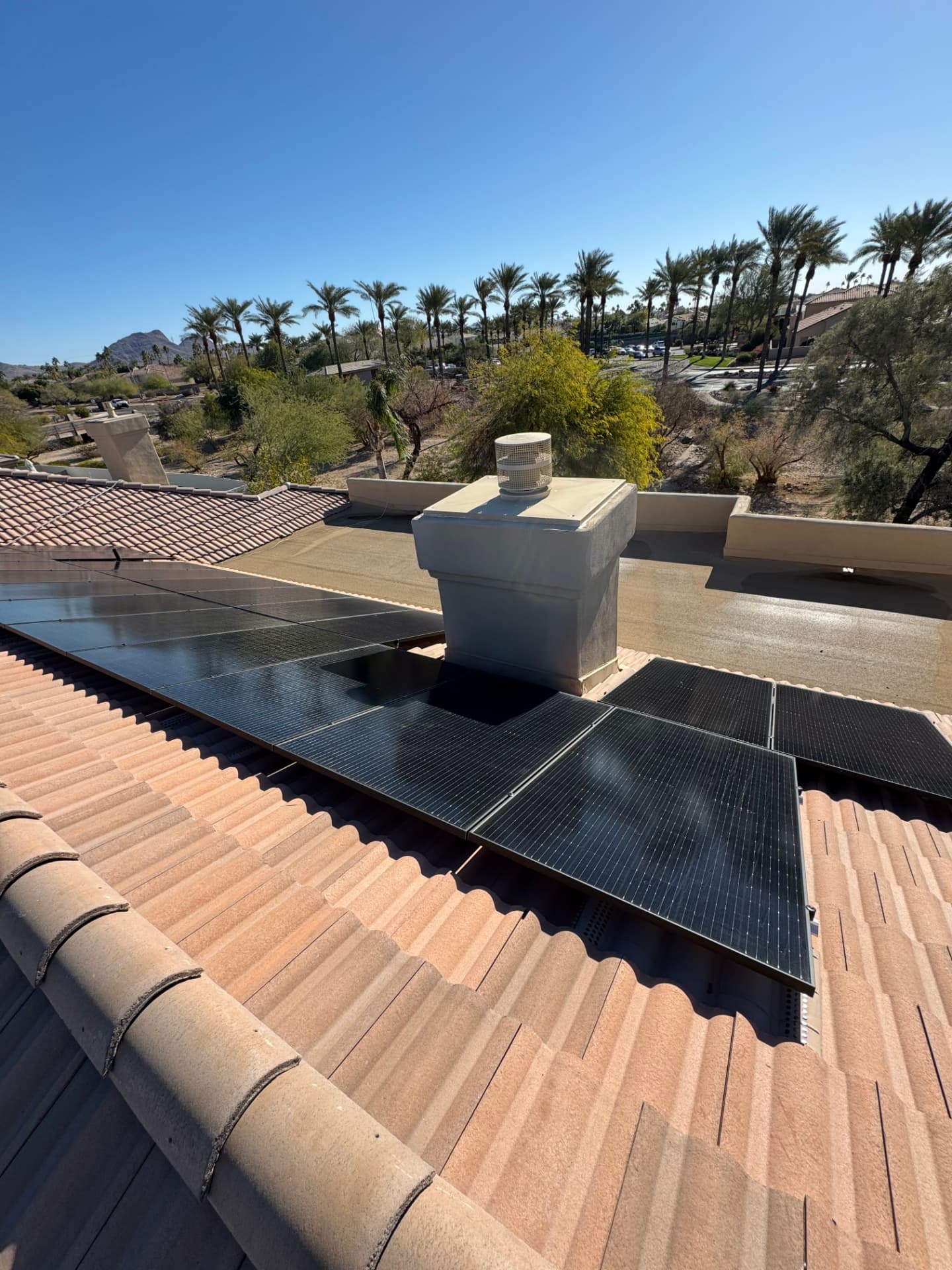 Freshly cleaned panels beside a chimney with palm trees behind