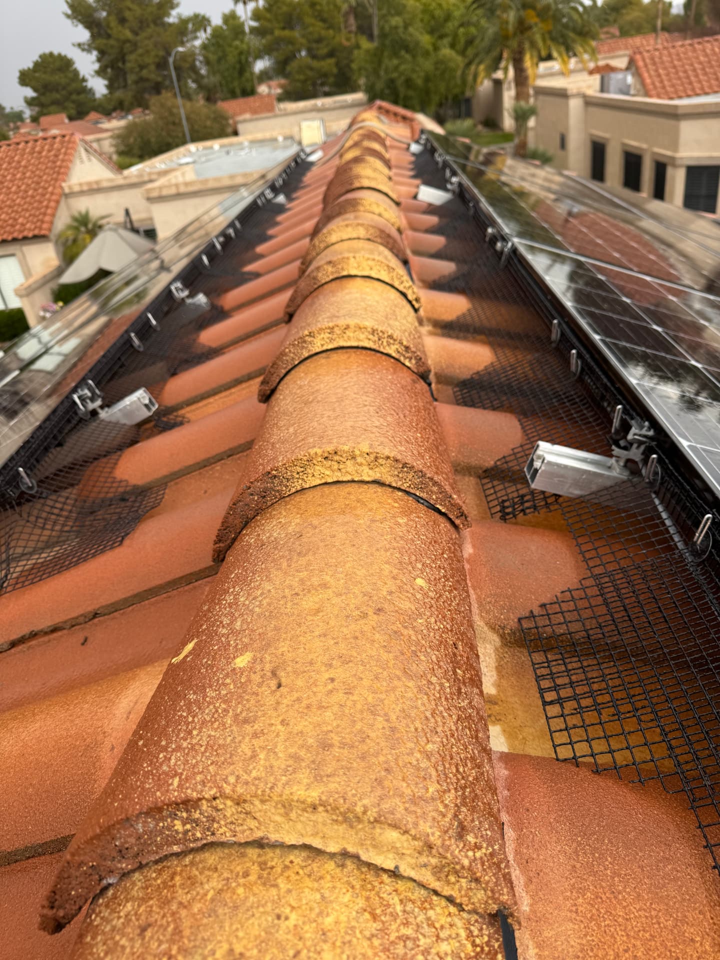 Mesh barrier under solar panels beside a tile ridge
