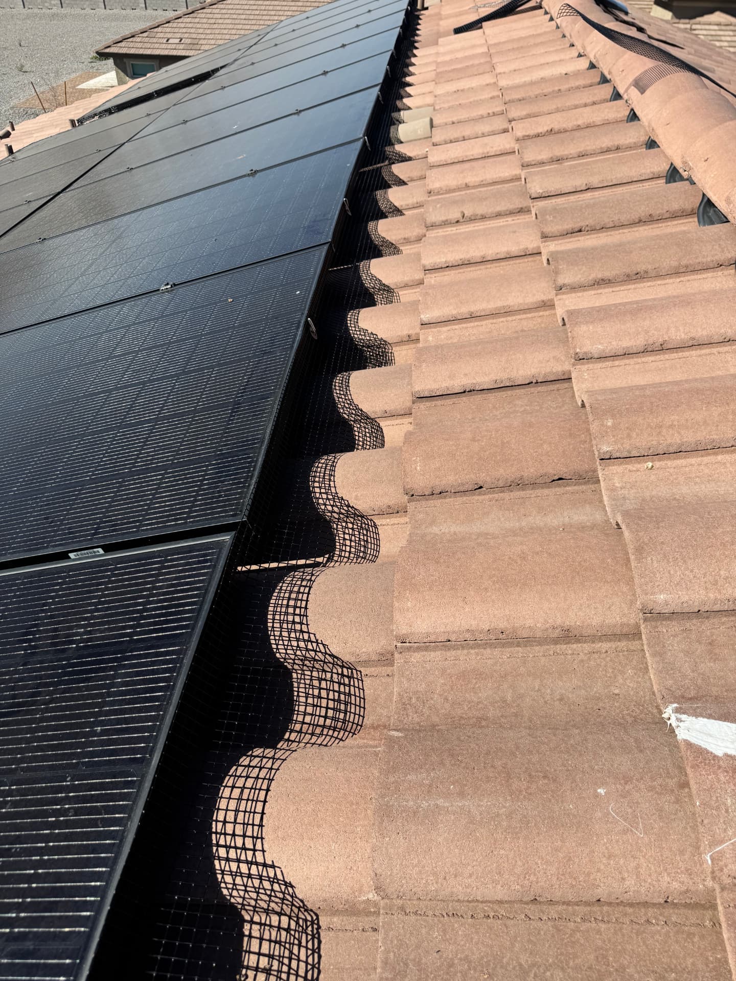 Pigeon mesh tucked under a long solar array along a tile roof