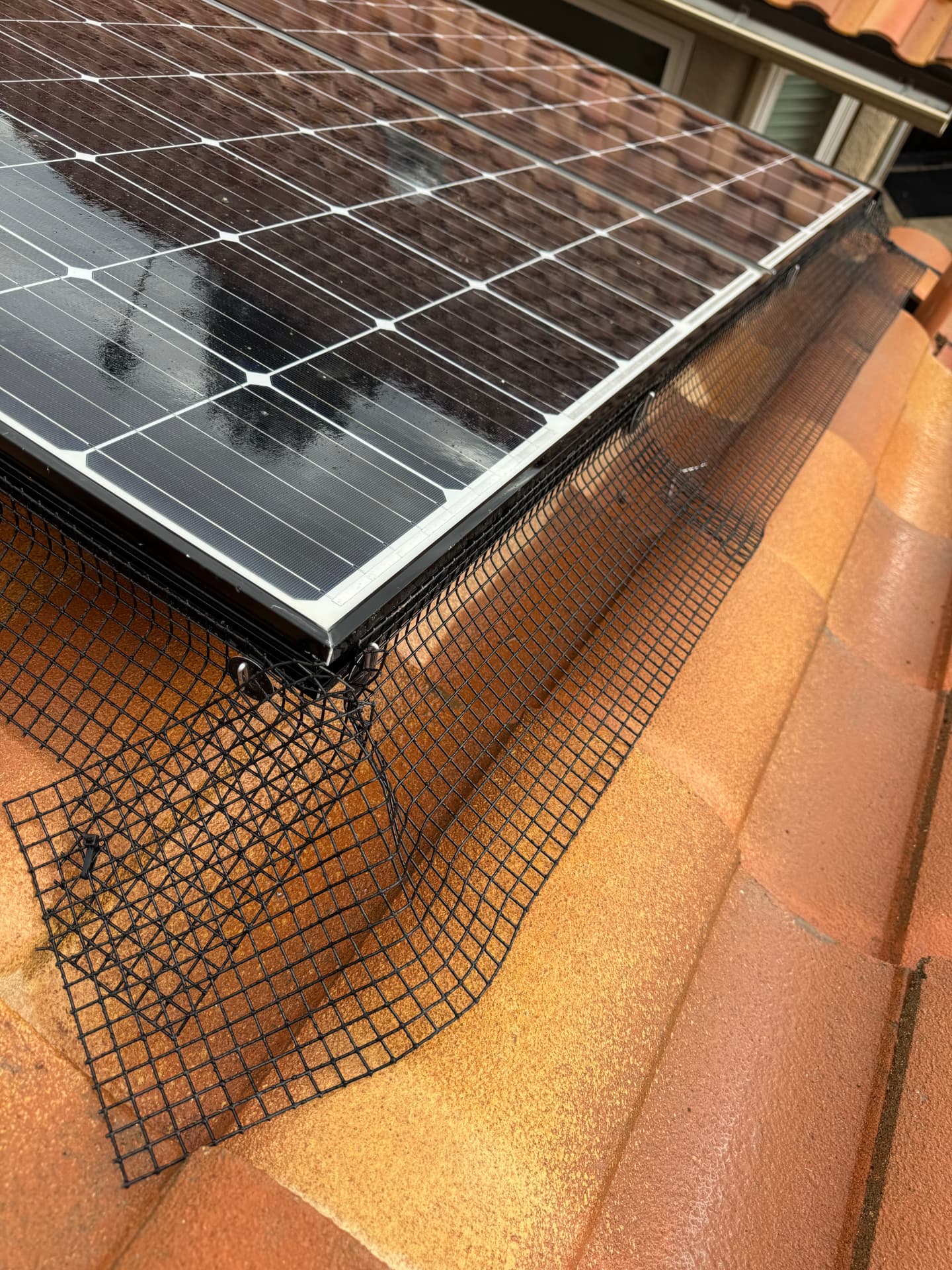 Corner of a solar array sealed with black pigeon mesh