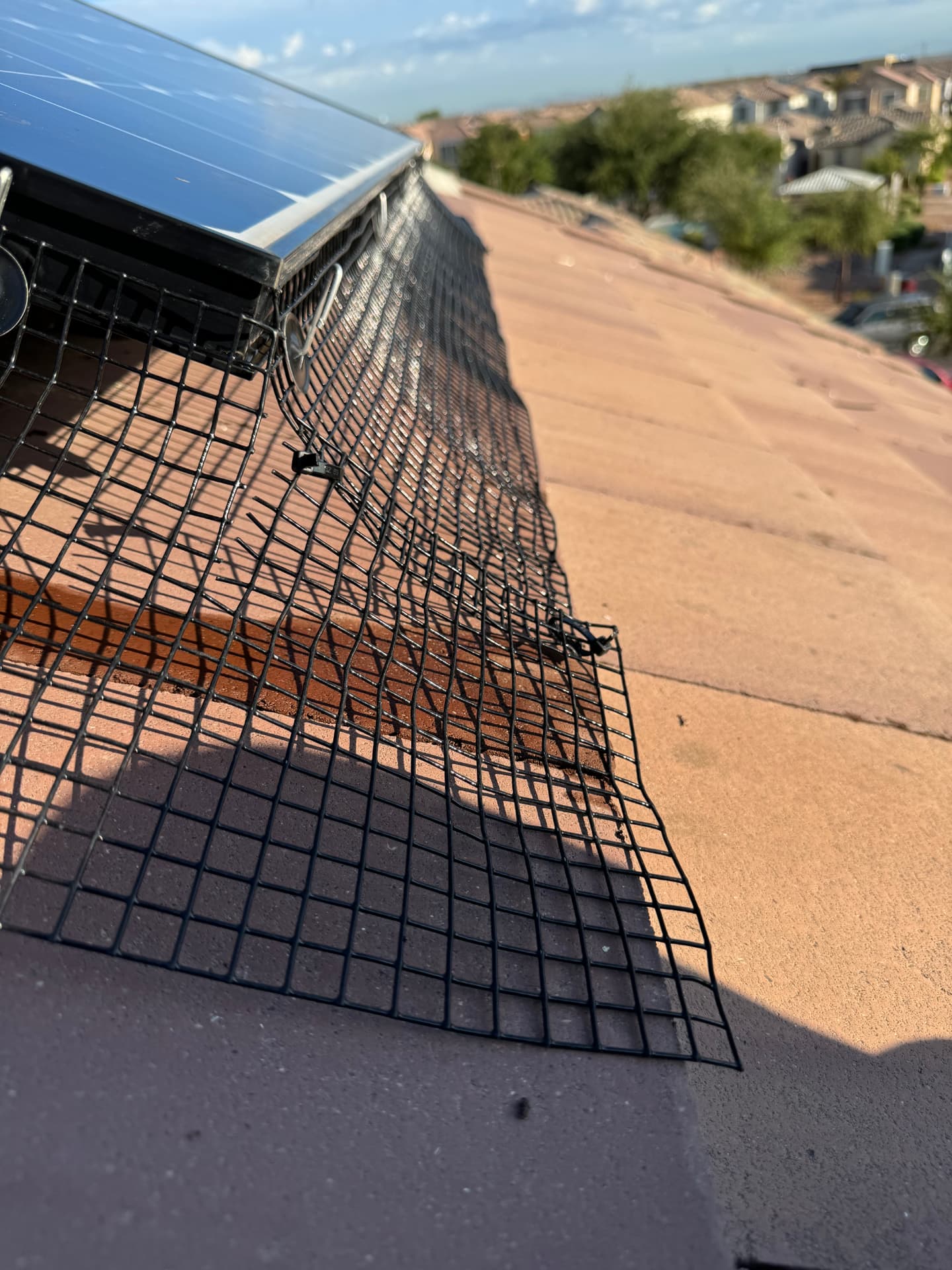 Pigeon mesh closing the gap under a solar panel on a tile roof