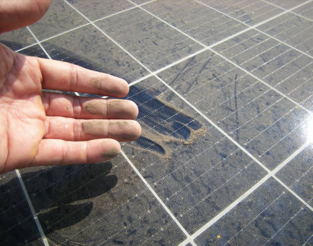 Can a Window Cleaner Clean My Solar Panels