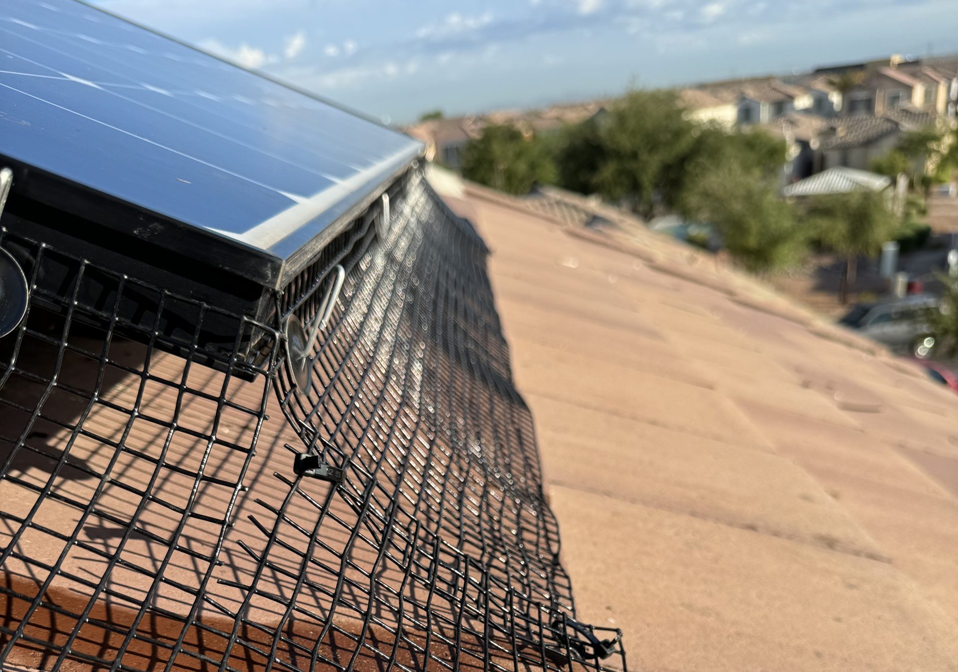 Pigeon Proofing Solar Panels