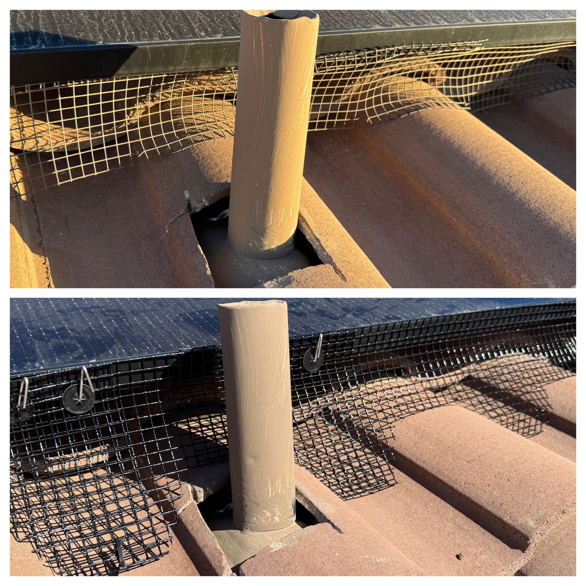What Is Bird Proofing?