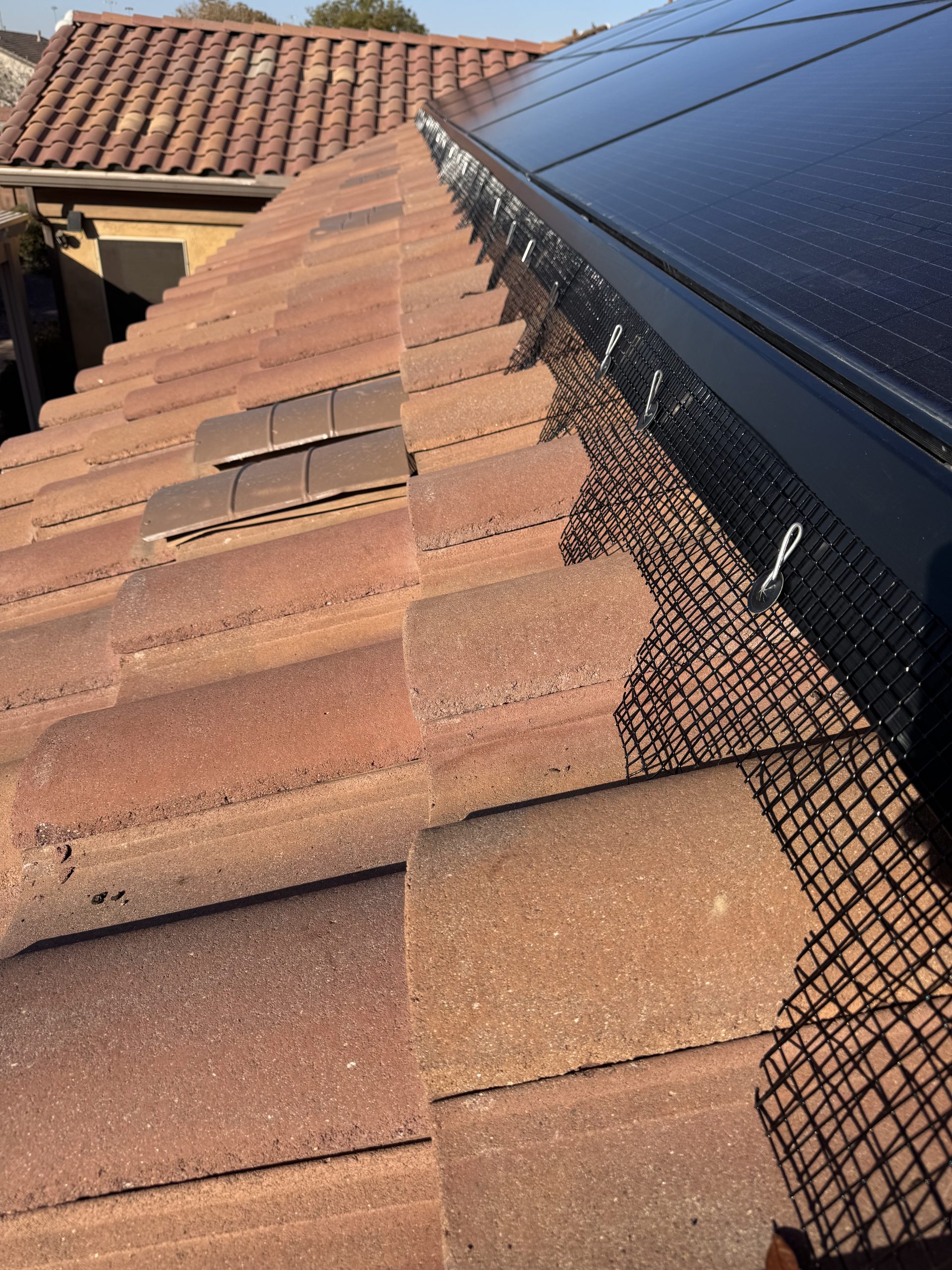 How Much Does It Cost to Pigeon Proof Solar Panels in Phoenix