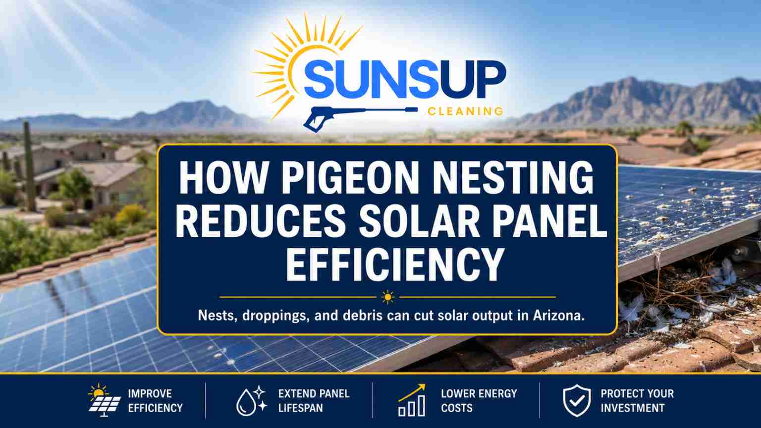 How Pigeon Nesting Reduces Solar Panel Efficiency