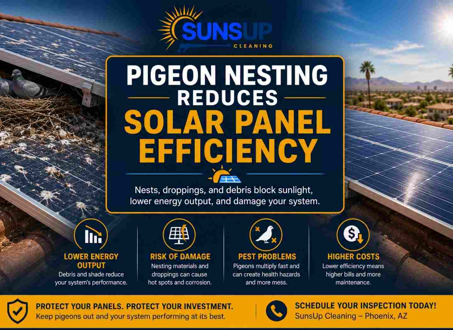 how pigeon nesting reduces solar panel efficiency