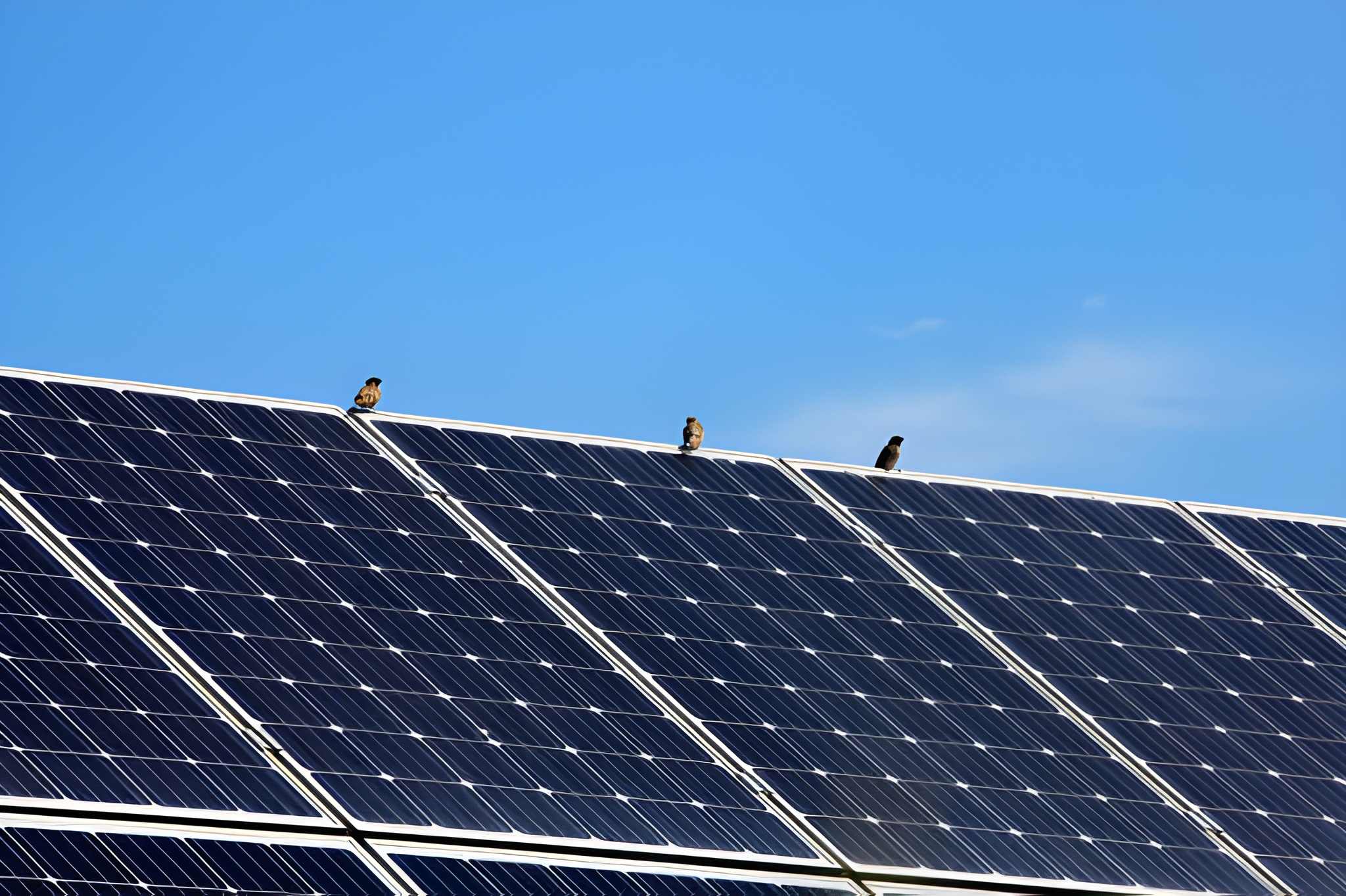 Solar System in Phoenix